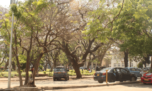 Bringing Zimbabwe's Remote Communities Closer Through Air Travel